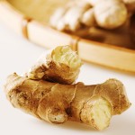 Image of Ginseng Root - Ginseng Benefits